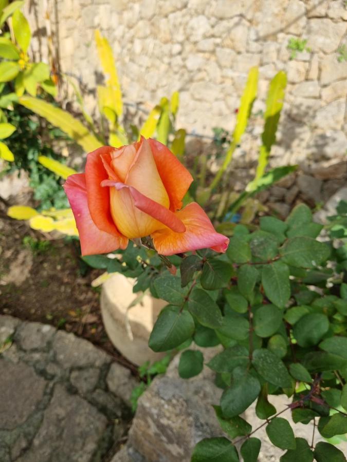 Villa Sul Molo Tra Siracusa E Catania Augusta Dış mekan fotoğraf